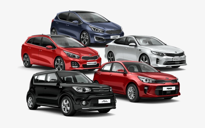 Vehicle Rental